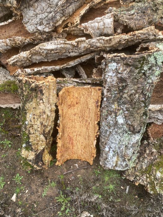 Cortiça pranchas , tubos , meios tubos para decoraçao e outros propos