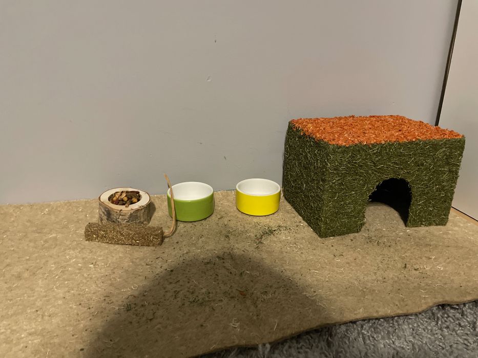 Wszystko dla królika