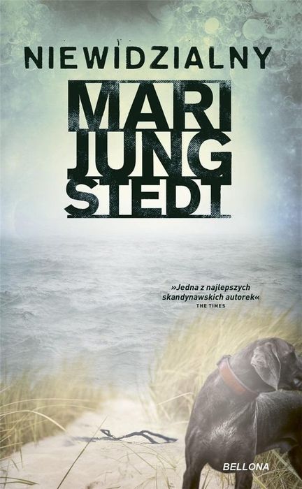 Niewidzialny  Mari Jungstedt