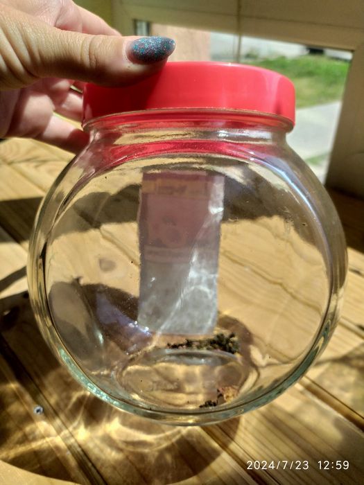 Скляна тара, банка з кришкою, банка,