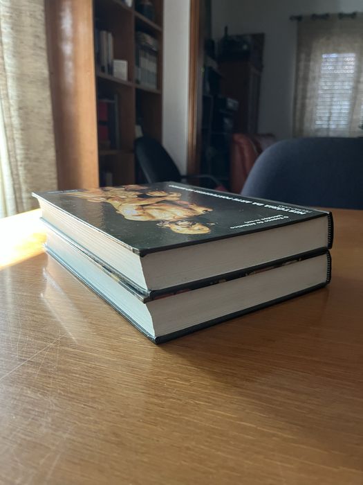 História da Arte Portuguesa no Mundo