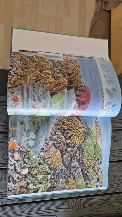 Livro Onde A Terra e o Mar se Encontram