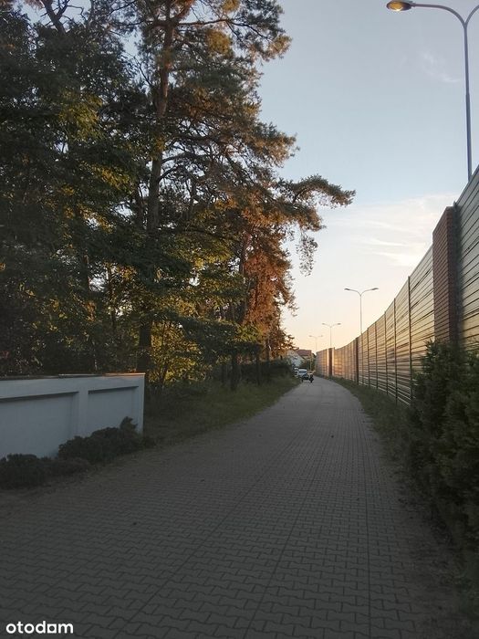 Działka budowlana Jasin, Swarzędz - Widok 2