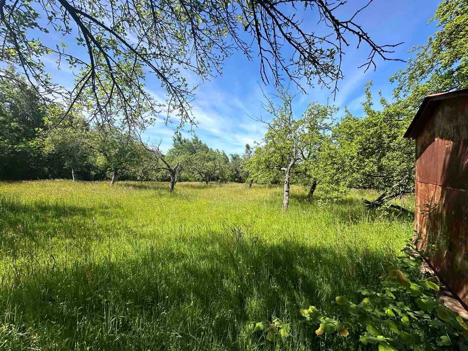 Продається земельна ділянка в с. Ракош