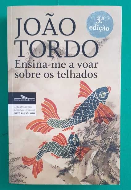 Ensina-me a Voar sobre os Telhados - João Tordo