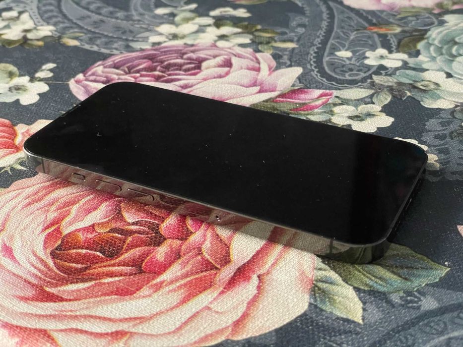 iPhone 13 Pro 256 GB