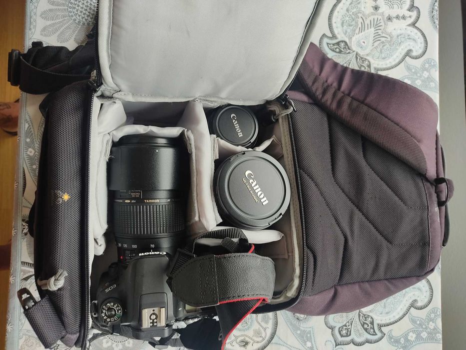 Bolsa para máquina fotográfica Lowpro Plecak slingshot edge 250 AW