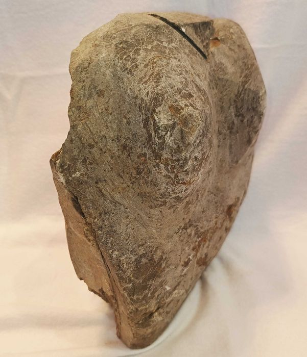 Escultura Dorso Xisto 3