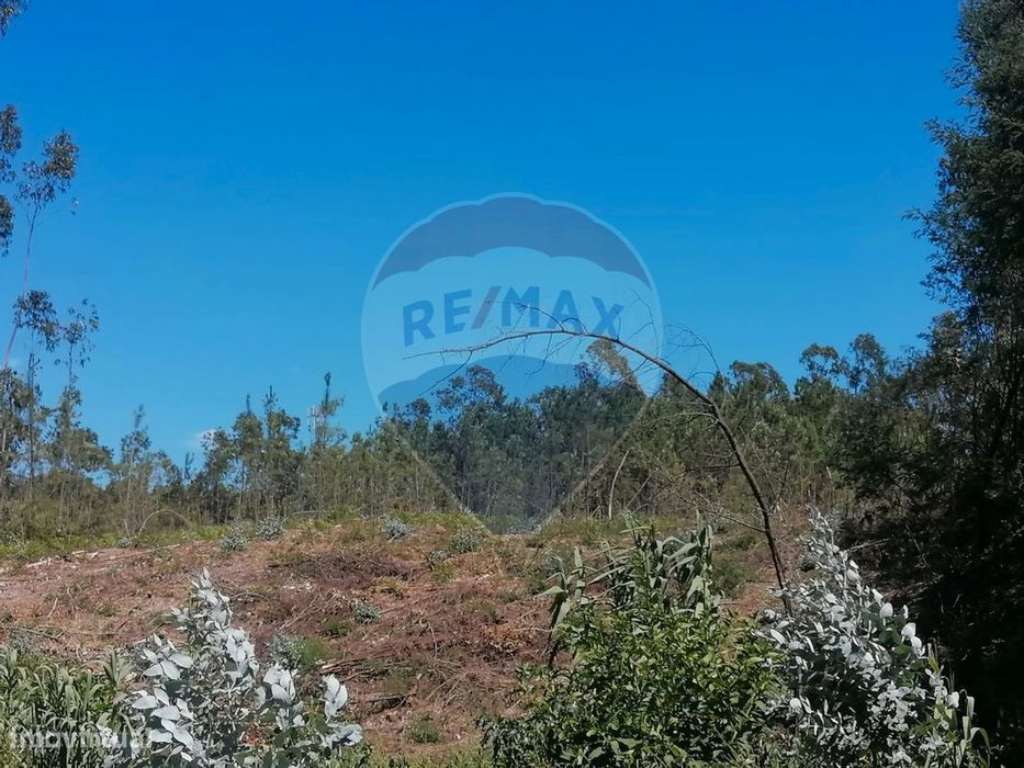 Terreno  para venda