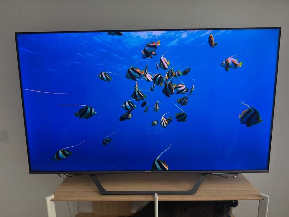 Oportunidade!!! TV Hisense 65 polegadas 4K usada apenas 6 meses!