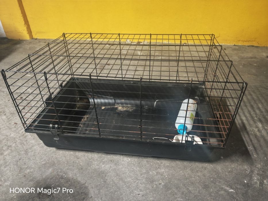 Gaiola para coelho anão