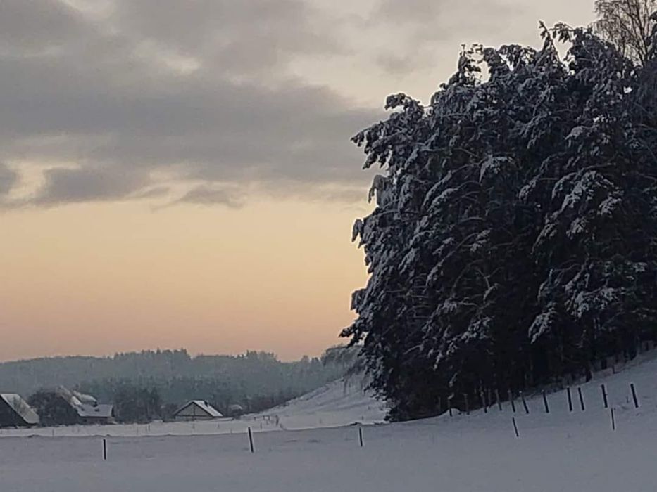 Domek z sauną i jacuzzi wolne terminy