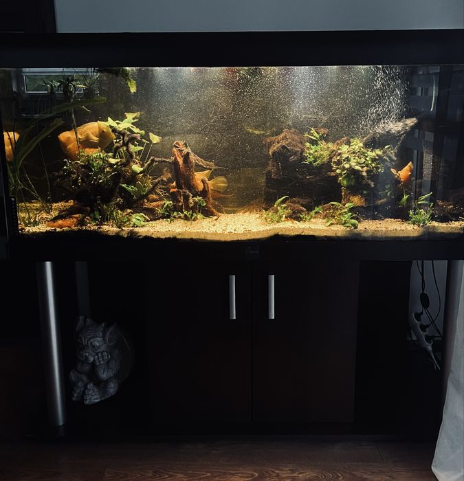 Sprzedam akwarium 450 l używane
