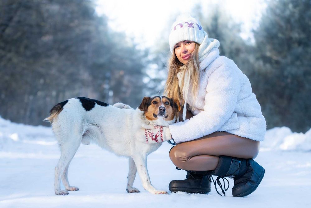 IZARI - już nie smutny, pełen wiary w człowieka łaciatek