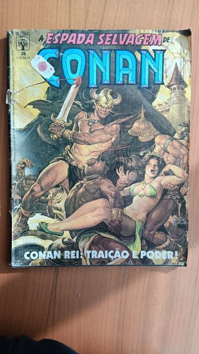 Conan a espada selvagem