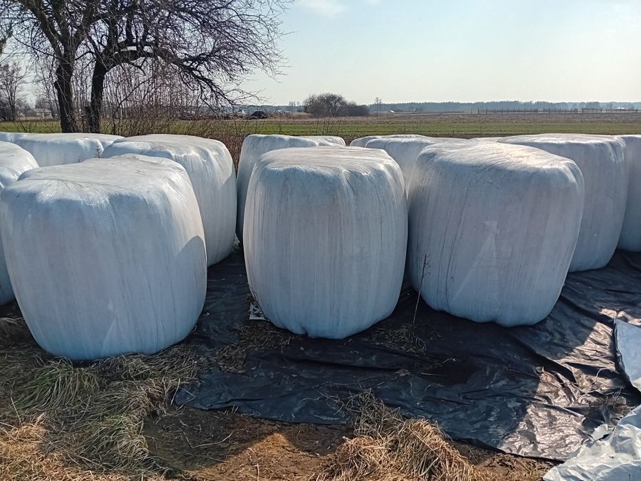 Siano oraz sianokiszonka bele 120