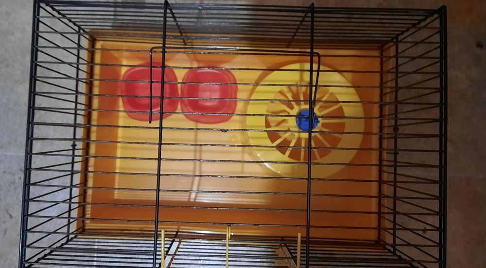 Клетка для хомячка.