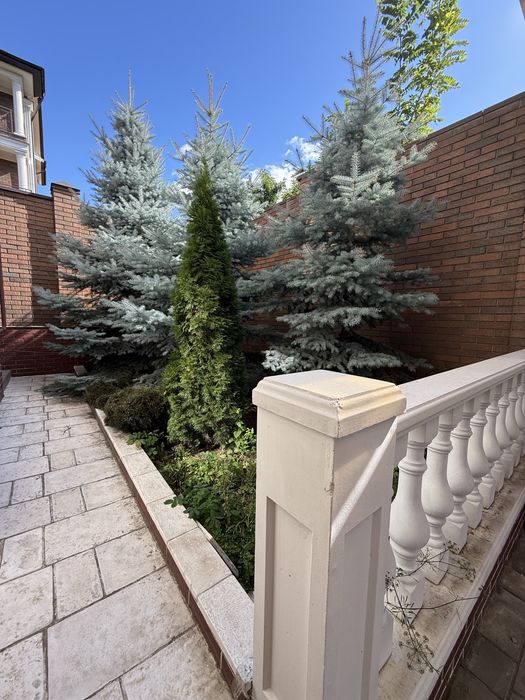 Аренда шикарного дома на Звиренецкой,Печерск,Посольства,бассейн,камин