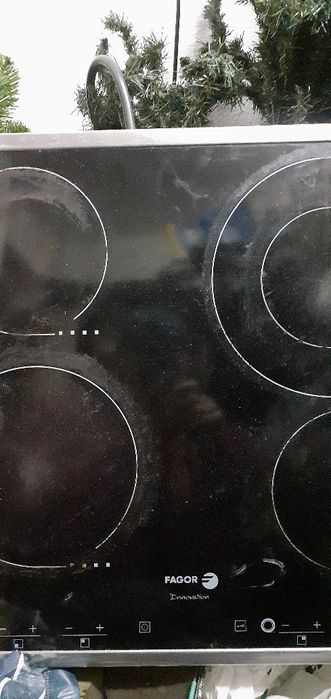 Eletroplaca  Fagor uzada para pesas