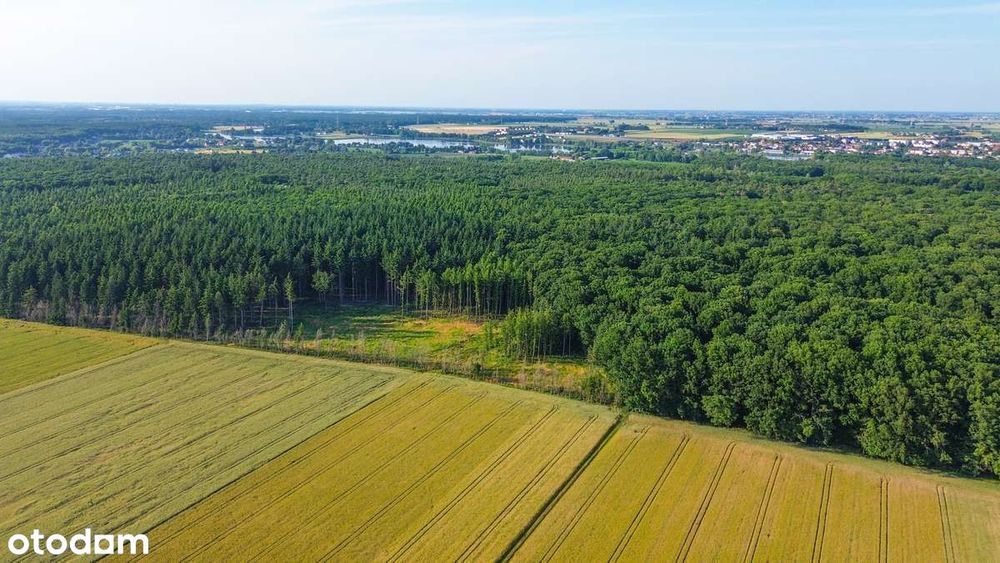 Działki pod LASEM ! Możliwość płaskich dachów ! od 806m2