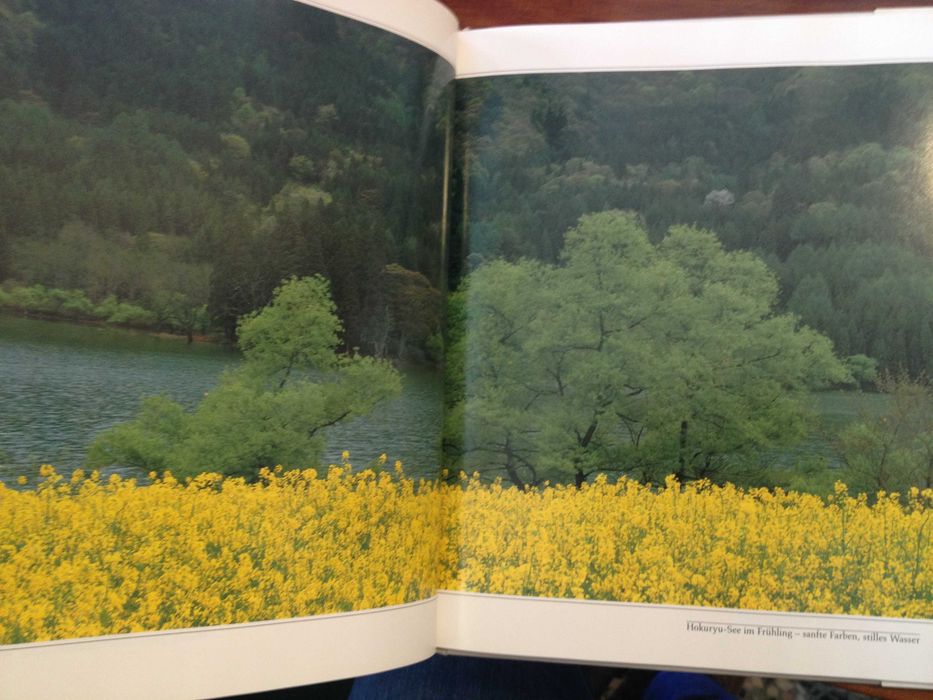 Bäume und Gräser, photographien von Shinzo Maeda