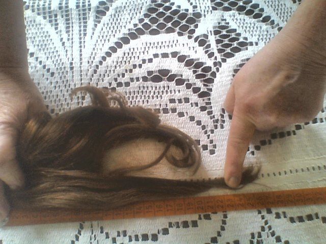 Ogon koński, treska do przypinania