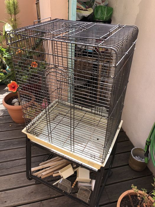 Gaiola grande para pássaros/papagaio