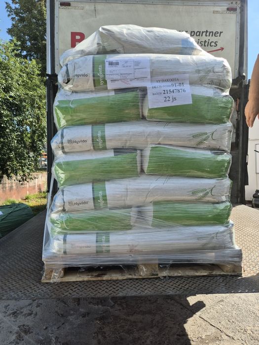 Jeczmień Hybrydowy Galileo Dakota Syngenta