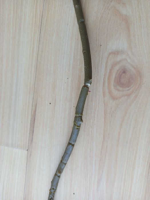 Sztuczne gałęzie kwitnące w odcieniach różu, komplet 4 szt.
