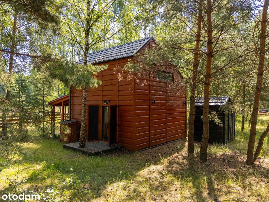 Dom – Nowy Tomyśl - Widok 3