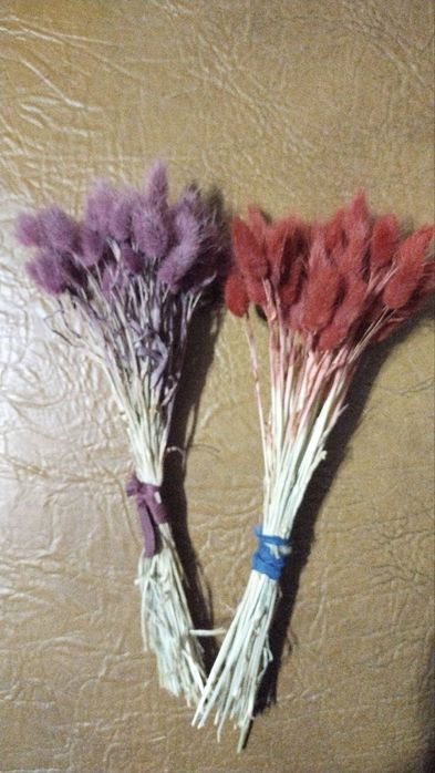 Декоративний лагурус в букети  декор