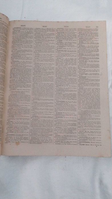 [RARO 1848] Dicionário Nacional Bescherelle - 2 Vol.