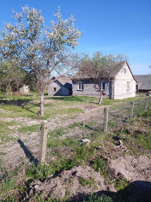 Dom z działką w pięknej okolicy