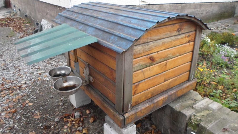 Собачья будка подороже и подешевле