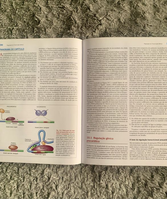 Introdução À Genética (8 Ed) Griffiths