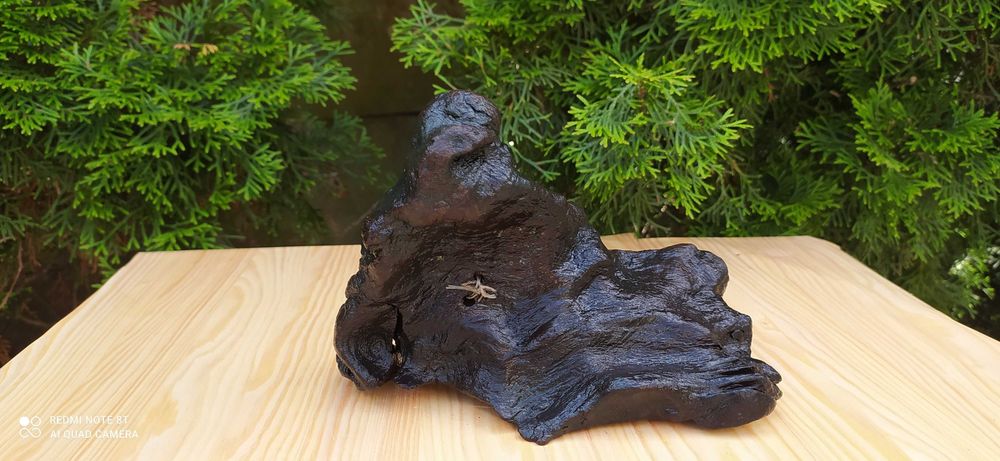 Korzeń do akwarium.