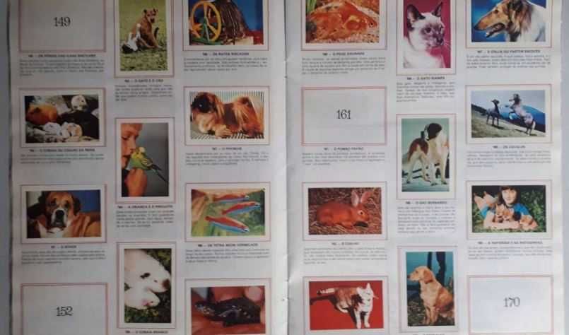 Caderneta de Cromos: O Mundo Prodigioso dos Animais