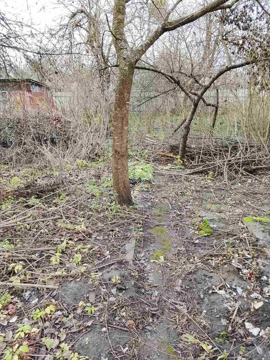 Продам дачу в Соколовському масиві.