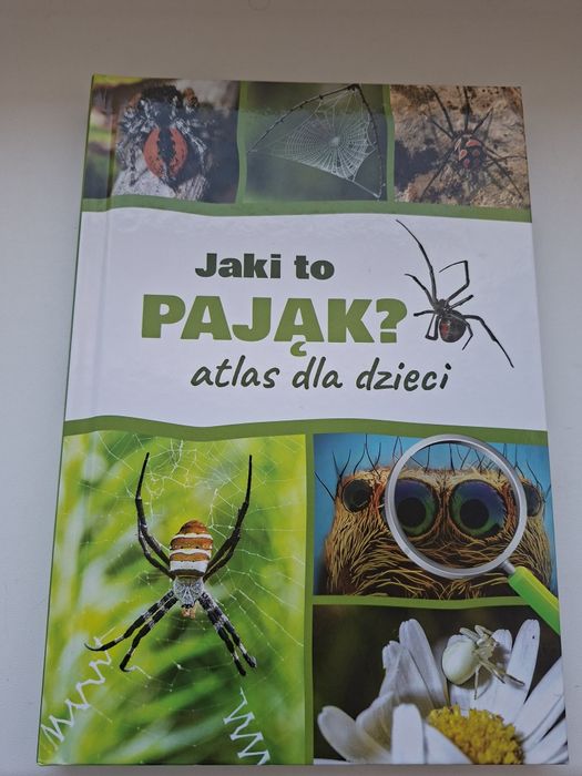Jaki to pająk atlas dla dzieci