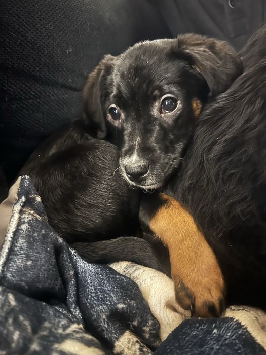 Uri  to 3 mc chlopak