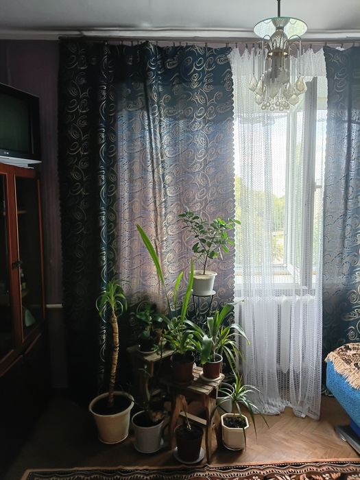 Elena 53 с гарантией