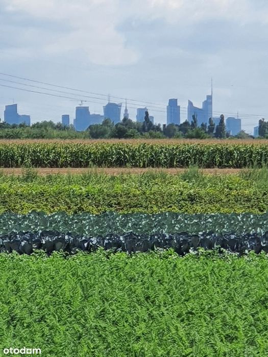 Działka budowlana 0,1272 ha doskonała lokalizacja pod inwestycje.