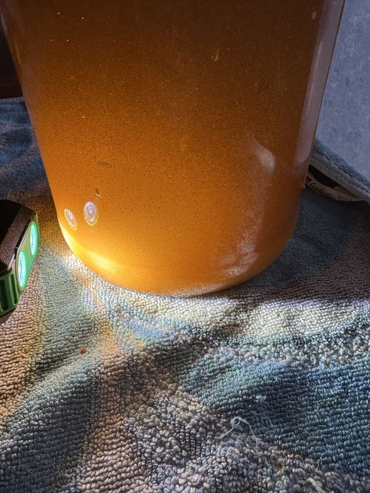 Яйця артемії. Виход 90%