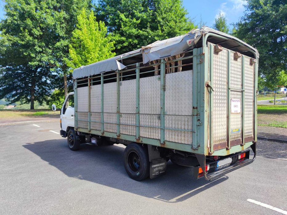 Carrinha DYNA 250 (transporte de animais)