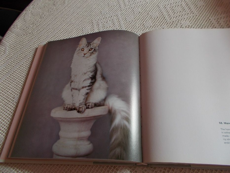 Livro sobre gatos The Cat´s Pajamas