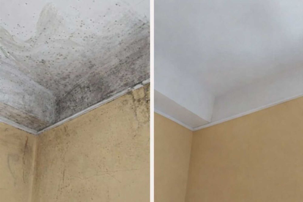 Травля тарганів професійна обробка житла без запаху