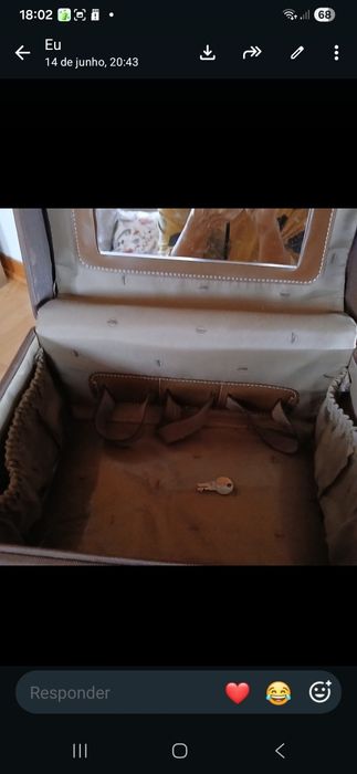 Malinha de viagem / necessaire