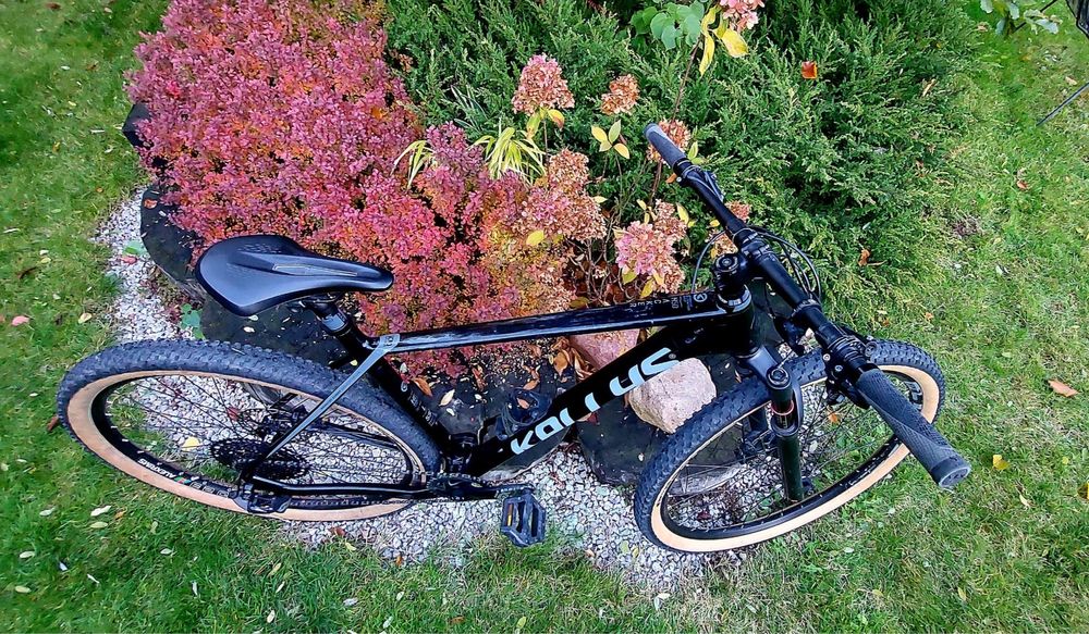 MTB Kellys Hacker 50