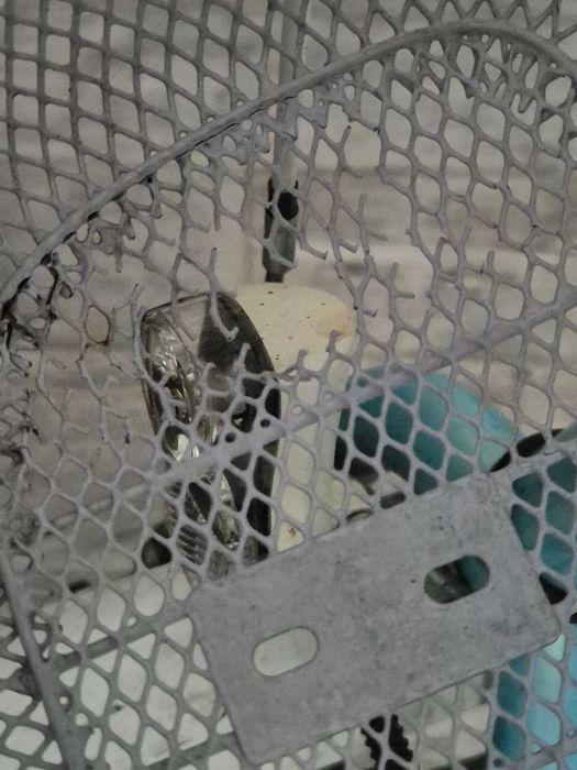 Rower dla dziewczynki 20 cali