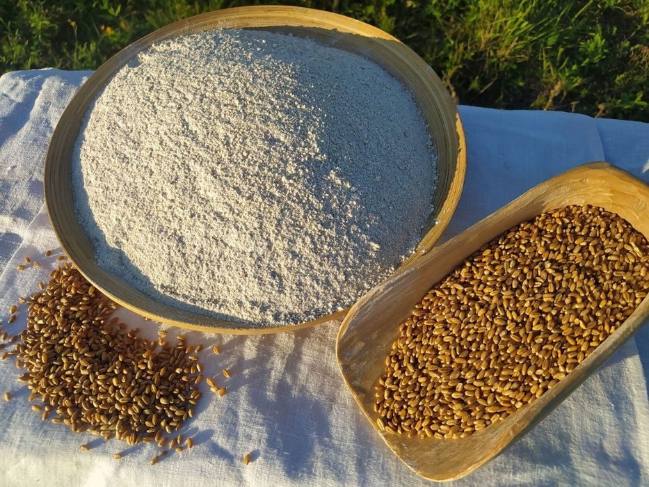 Мука пшеничная цельнозерновая смолотая на каменых жерновах